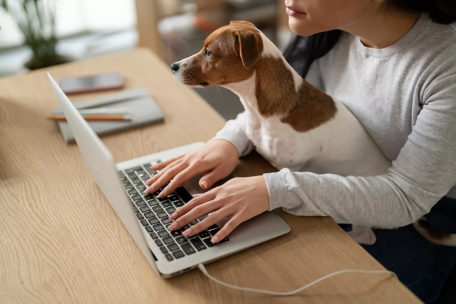 Un perro observa el ordenador de su dueña / FREEPIK