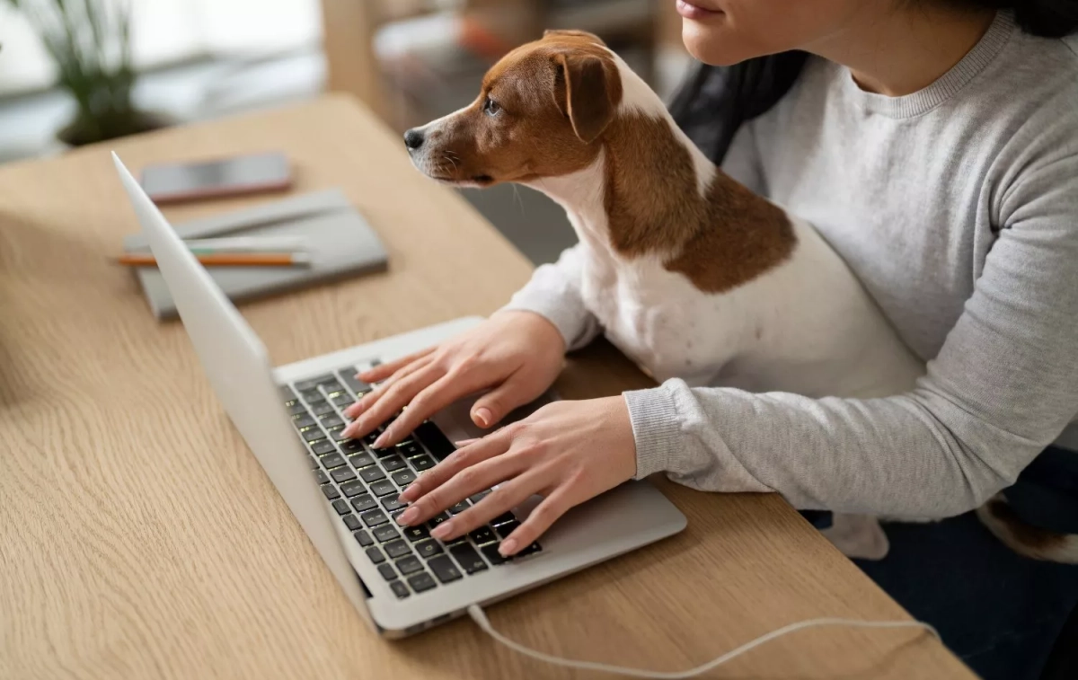 Un perro observa el ordenador de su dueña / FREEPIK