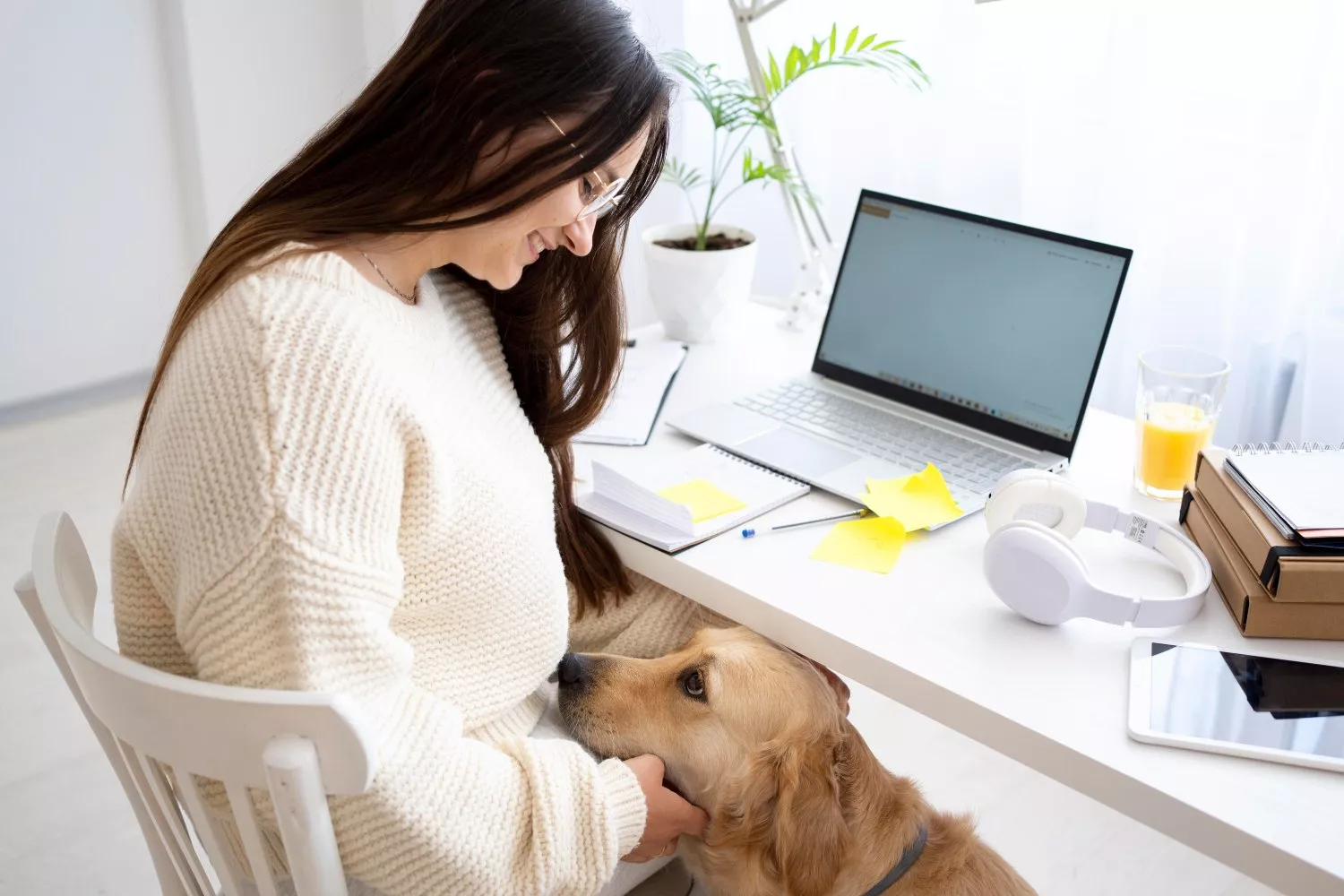 Un perro en la oficina en la que hay mascotas junto a su dueña / FREEPIK