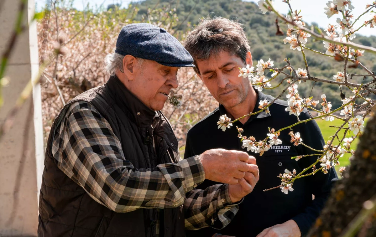 Miquel y Ferran Alemany, padre e hijo, cuarta y quinta generación de la empresa Torrons i Mels Alemany / CEDIDA