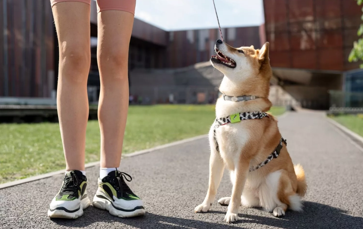 Una persona con su perro / FREEPIK