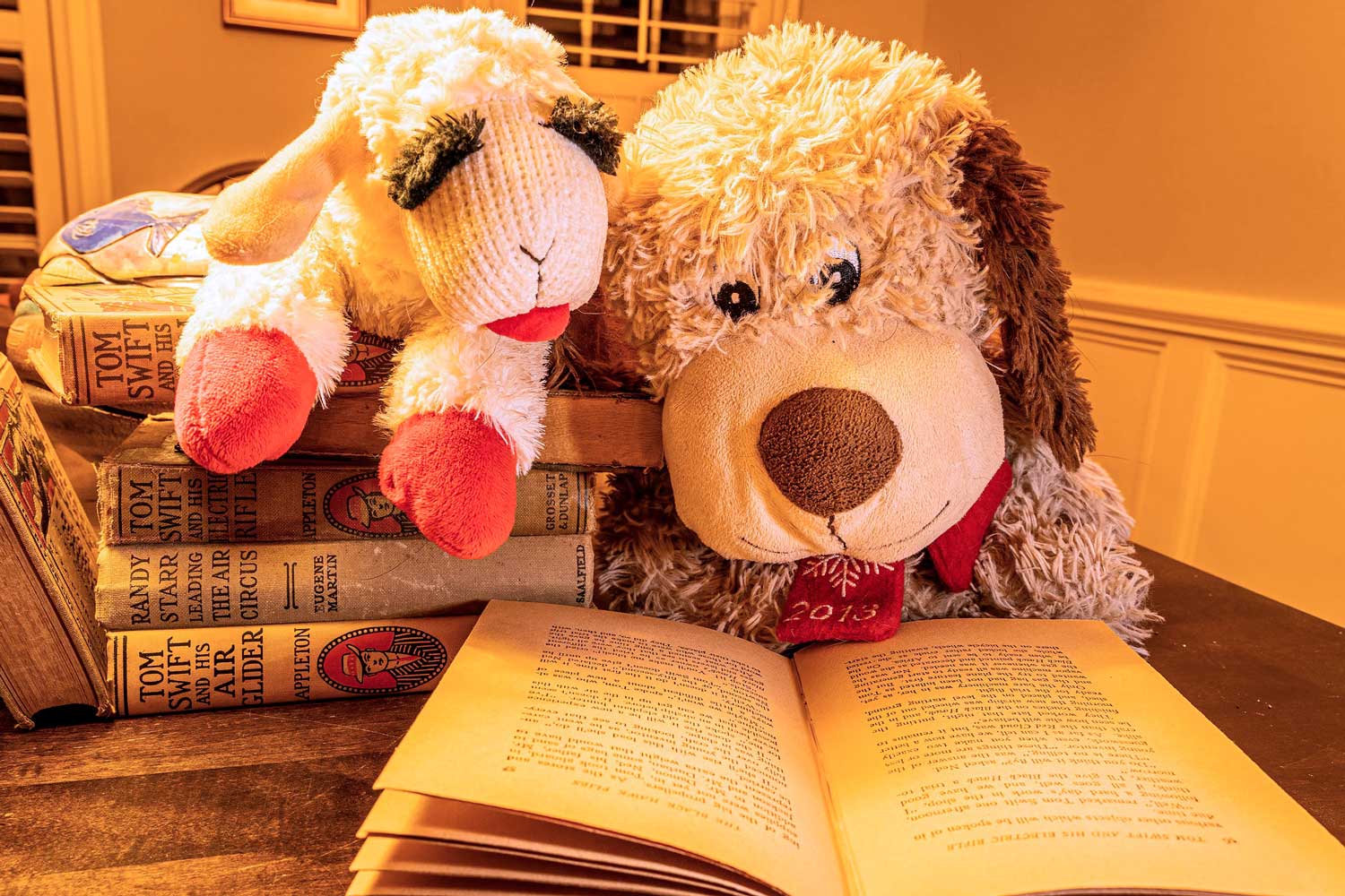 Una oveja y un perro de peluche leen un libro / PIXABAY