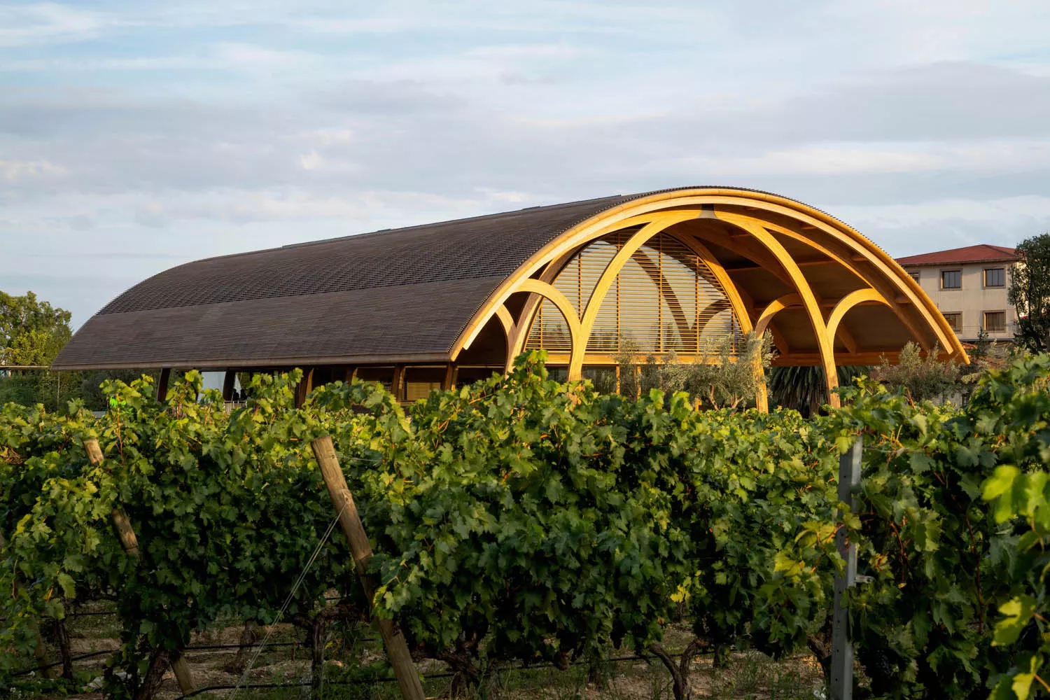 El nuevo edificio de Bodegas Faustino / CEDIDA