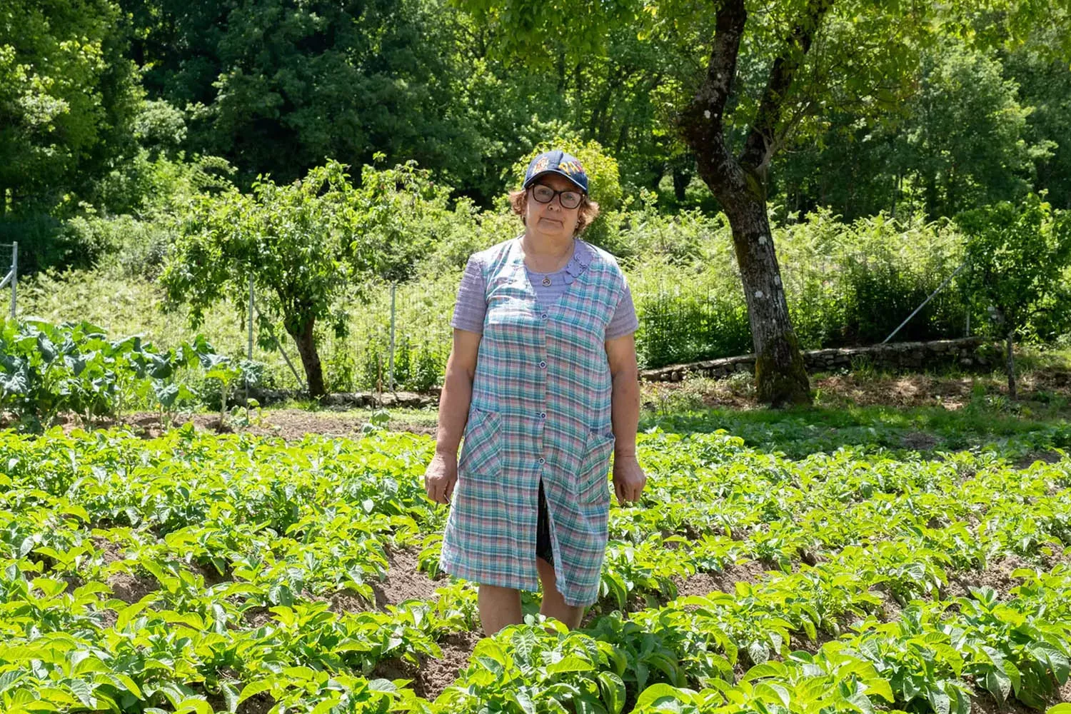 Carmen Vázquez, una agricultora de Ulloa que ve peligrar el ecosistema gallego con la macrocelulosa Altri / GREENPEACE - PEDRO ARMESTRE