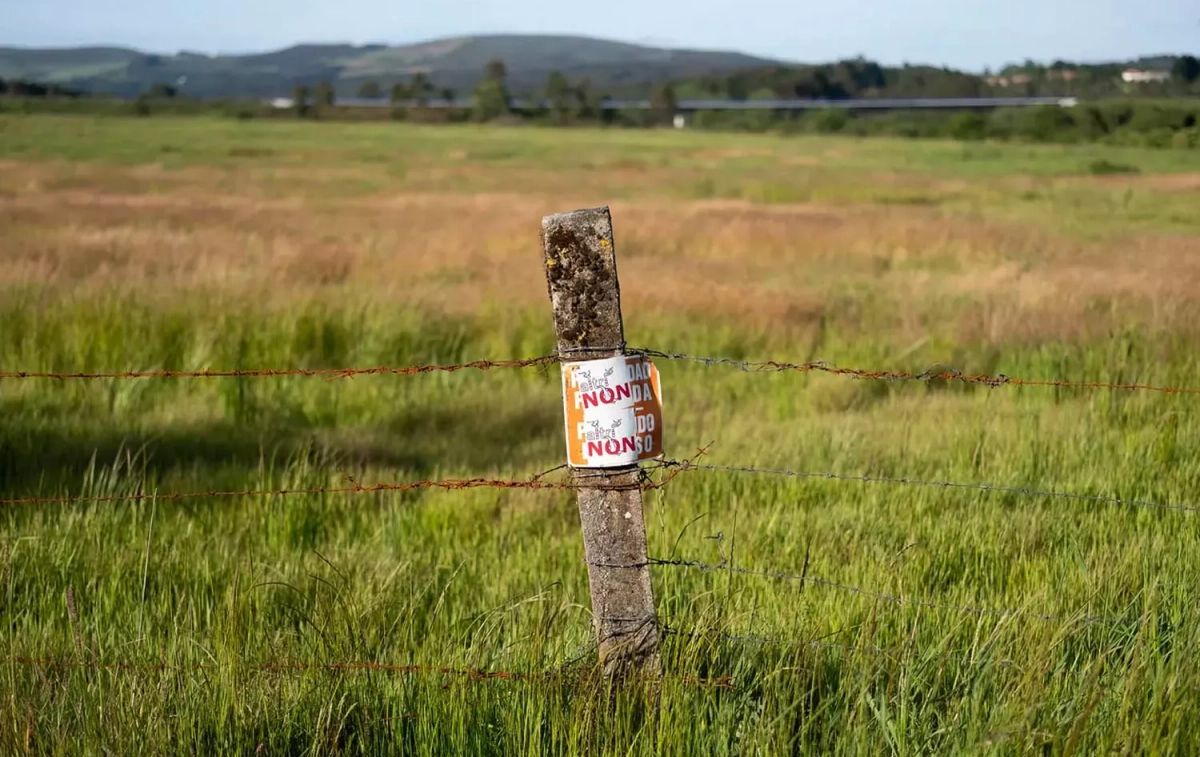 Una señal en contra de la fábrica de Altri en el campo gallego / GREENPEACE