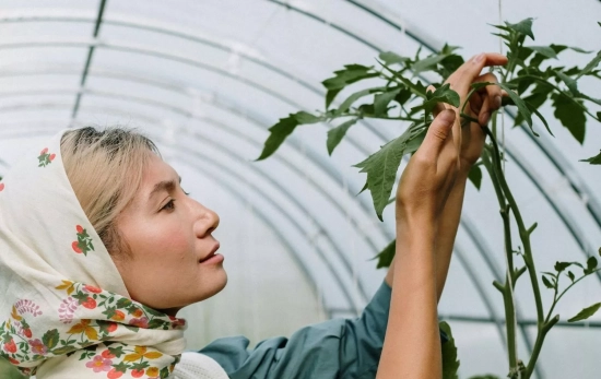 Mujer cuidando de una planta/ PEXELS