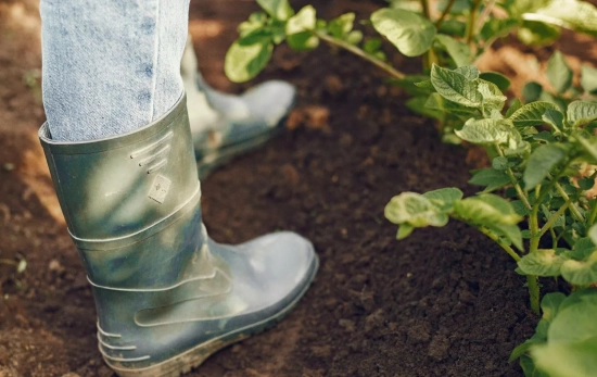 Una persona con botas de agua en su jardín/ PEXELS