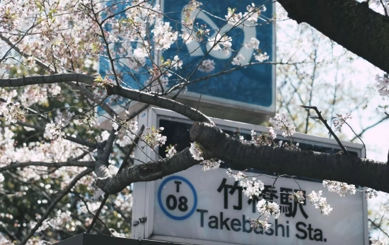 Una calle de Japón / PEXELS