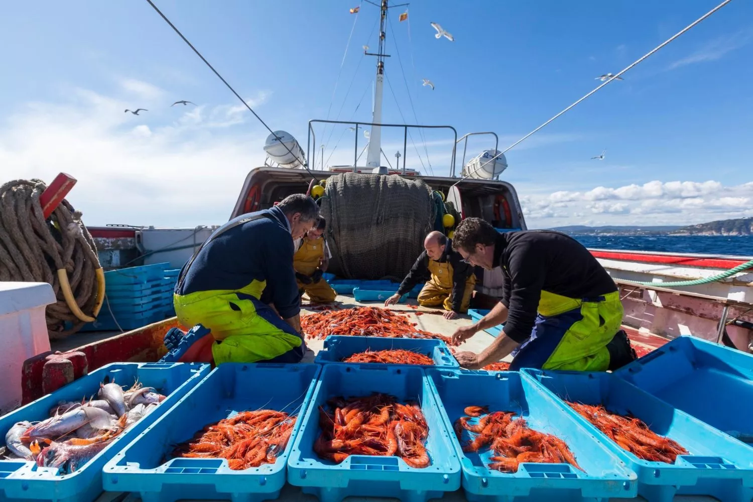 Pescadores con gamba roja de Palamós / GAMBA DE PALAMÓS - FACEBOOK