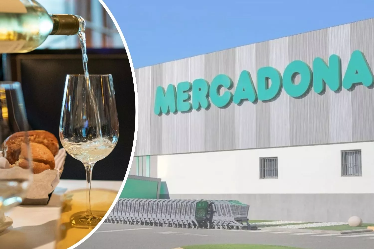 Mejores vinos blancos de Mercadona según la OCU y los compradores/ Montaje CG