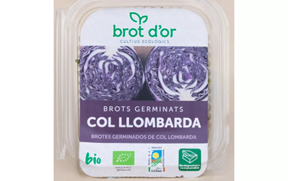 Brotes de col lombarda afectados / AESAN