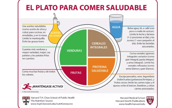 Una dieta basada en el plato de Harvard/ Nutritionsource.hsph.harvard.edu