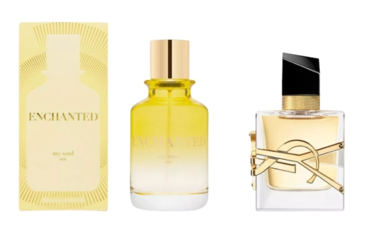  My Soul Enchanted (11 €) /Libre de Yves Saint Laurent(62 euros)/ Montaje CG