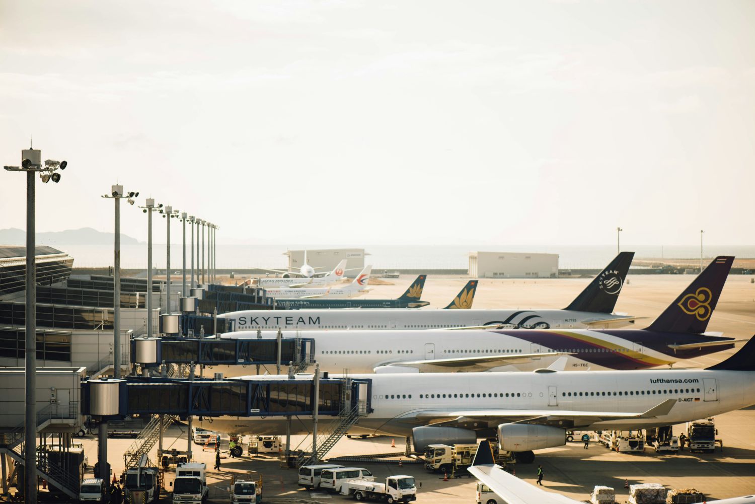 Un aeropuerto con varias aerolíneas, algunas ya cobran por el equipaje de mano   UNSPLASH