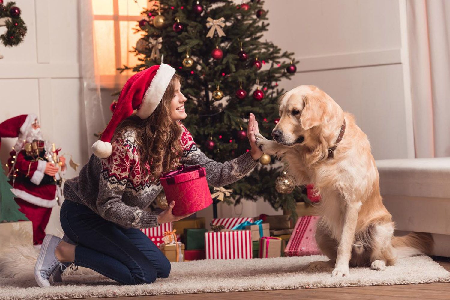 Una persona celebra la Navidad con su perro