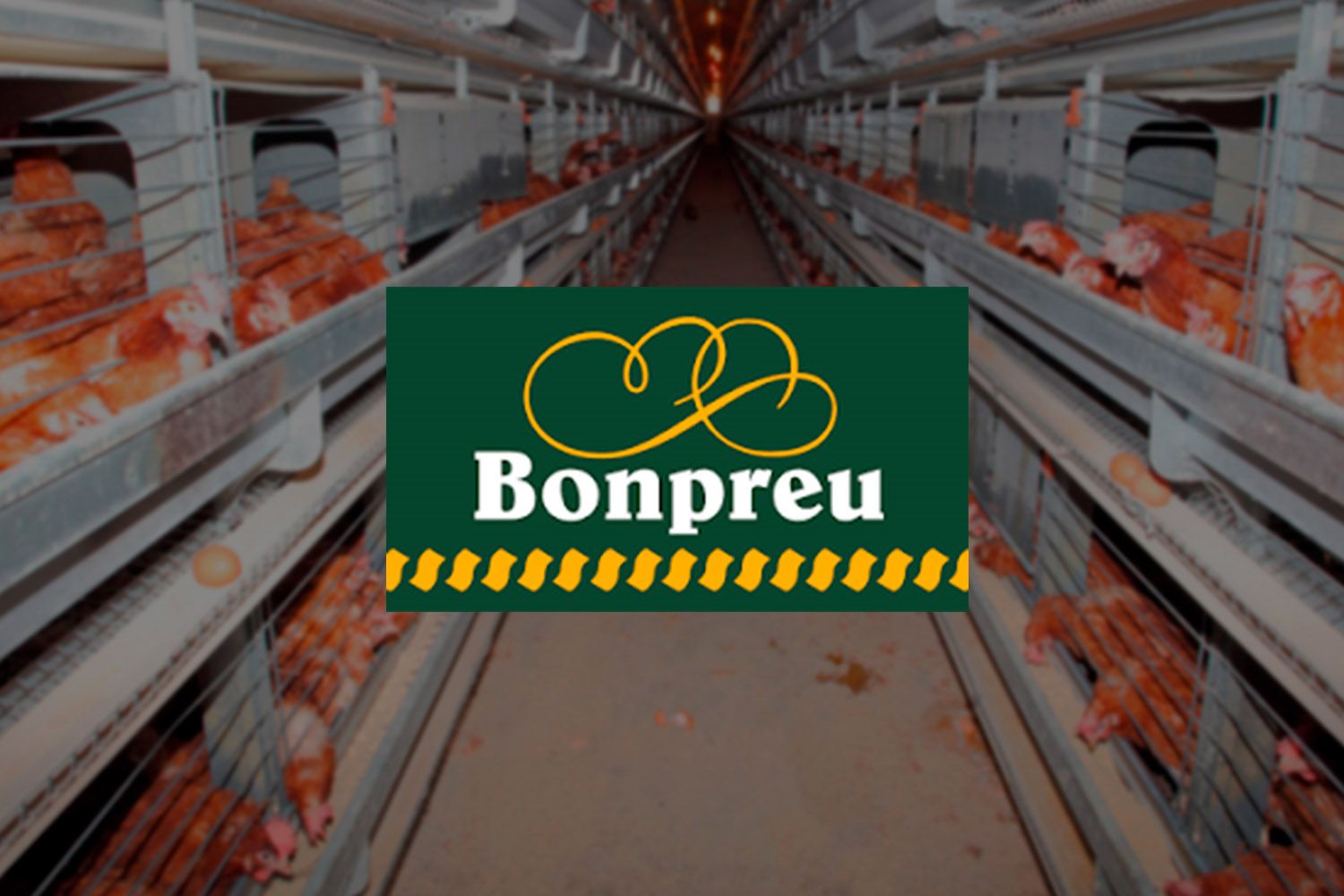 Montaje de una granja de gallinas enjauladas y el logo de Bonpreu / CONSUMIDOR GLOBAL