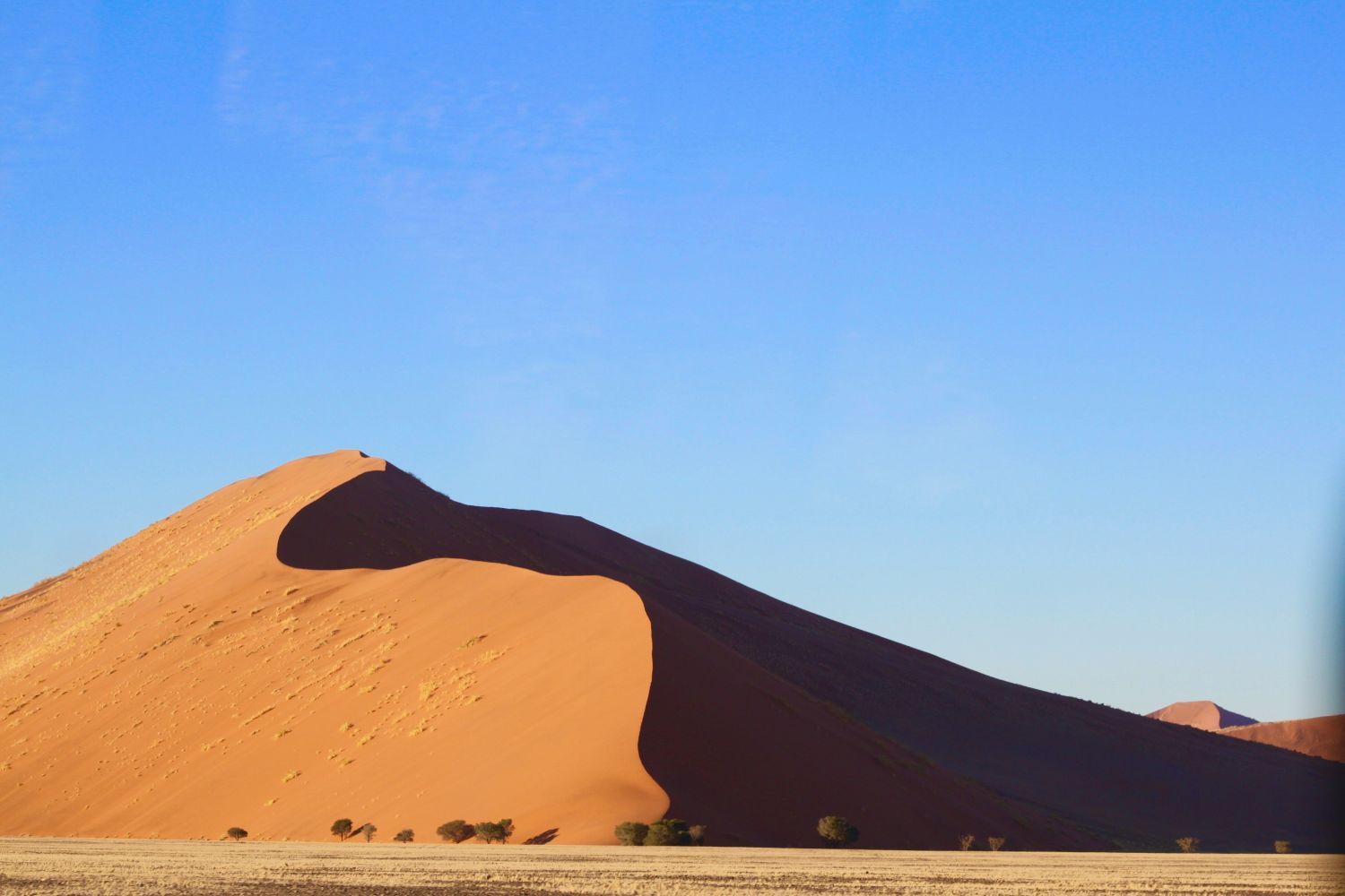 Desierto Namib (Namibia) UNSPLASH