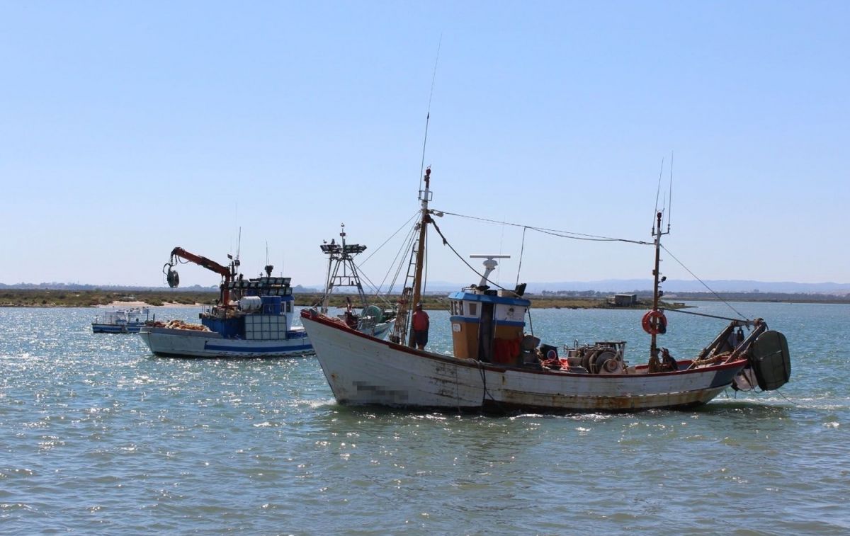 Flota de arrastre del caladero mediterráneo andaluz / JUNTA DE ANDALUCÍA