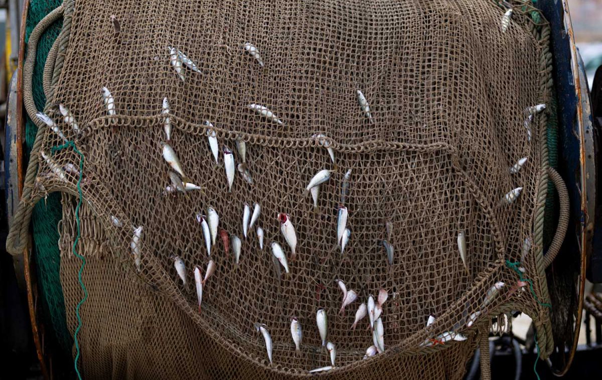 Materiales de pesca con peces enganchados en el Puerto de Arenys (Barcelona) / LORENA SOPENA - EP