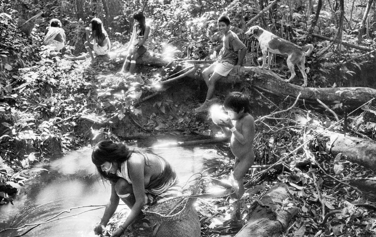 Un grupo indígena en el río / SEBASTIÂO SALGADO