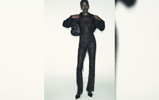 Top de encaje / ZARA Top de encaje / ZARA