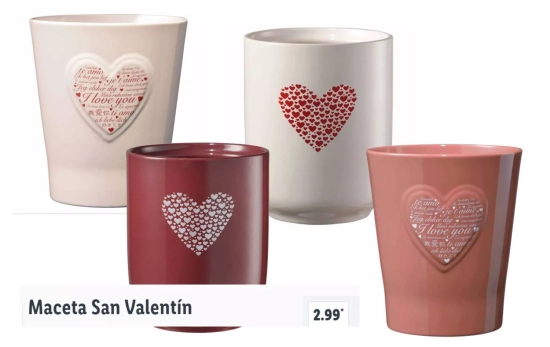Maceta San Valentín/ LIDL Maceta San Valentín/ LIDL