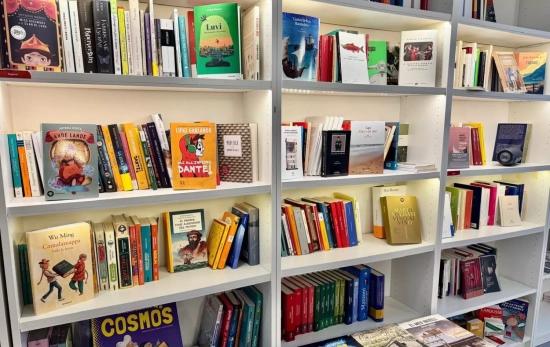 Una estantería con la 'Comedia' y otros libros en italiano / LA PICCOLA Una estantería con la 'Comedia' y otros libros en italiano / LA PICCOLA