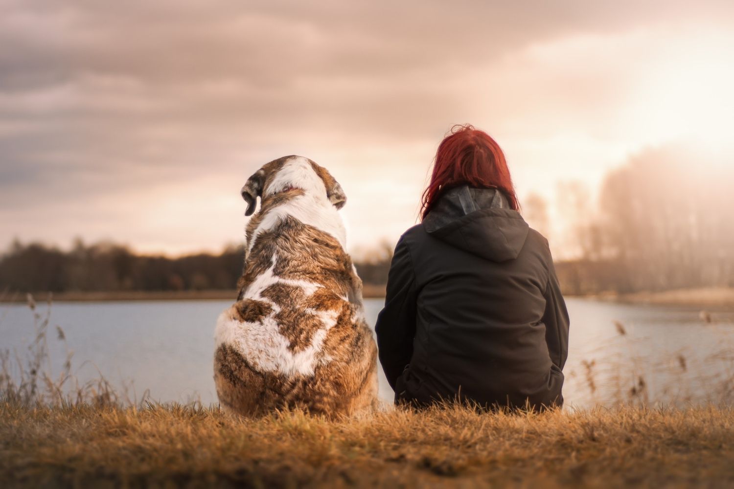 Una mujer junto a su mascota / PIXABAY