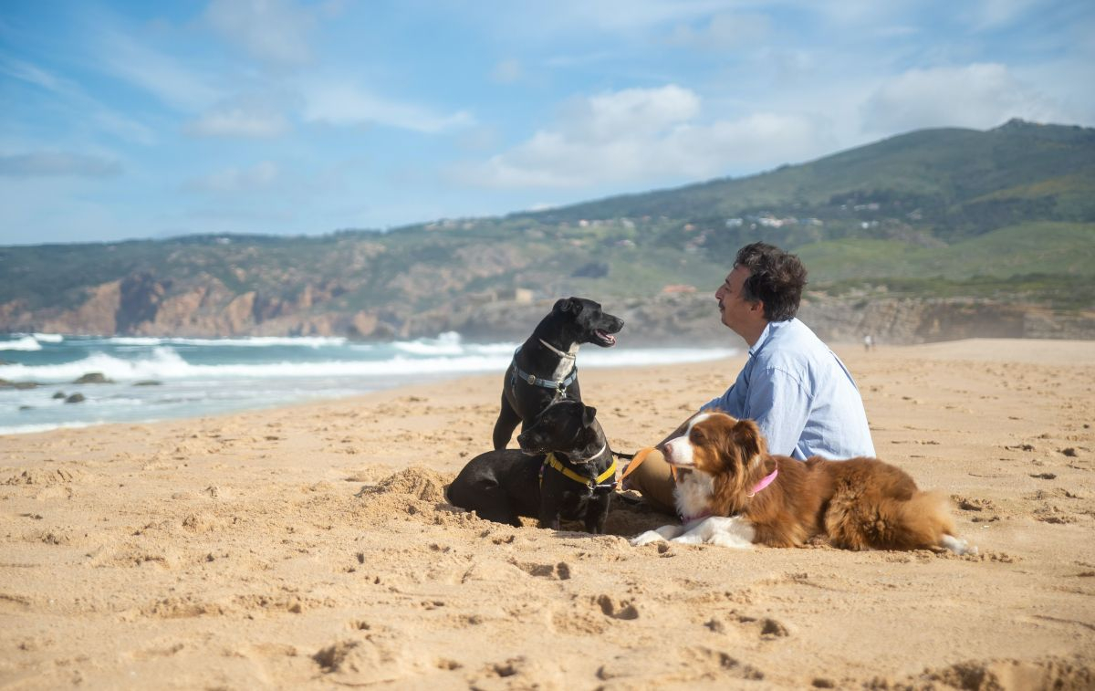 Un señor disfruta de la playa con sus perros / PEXELS